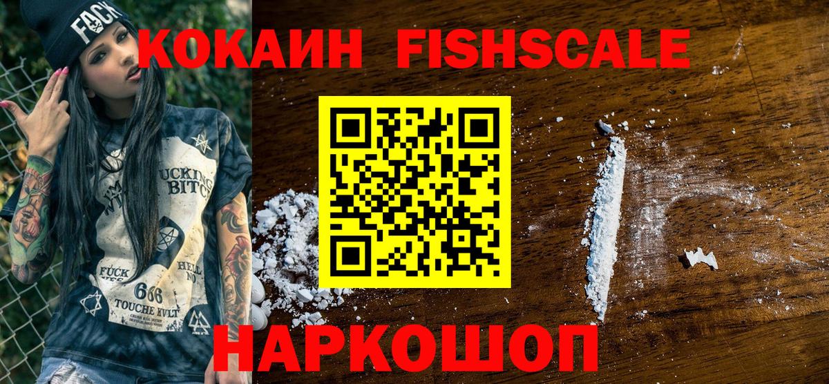 Cocaine Fish Scale  Вход с VPN  Ульяновск 