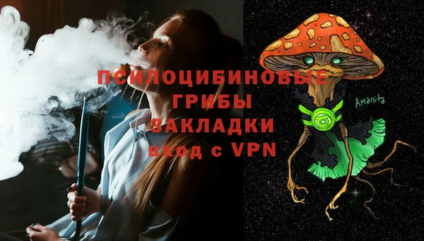 МДПВ Ладушкин
