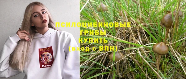 МДПВ Ладушкин