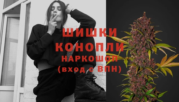 МДПВ Липки