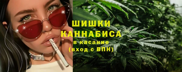 прущий лед Лагань