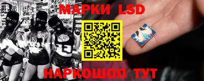 прущие грибы Апшеронск