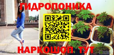 эйфоретик Абакан