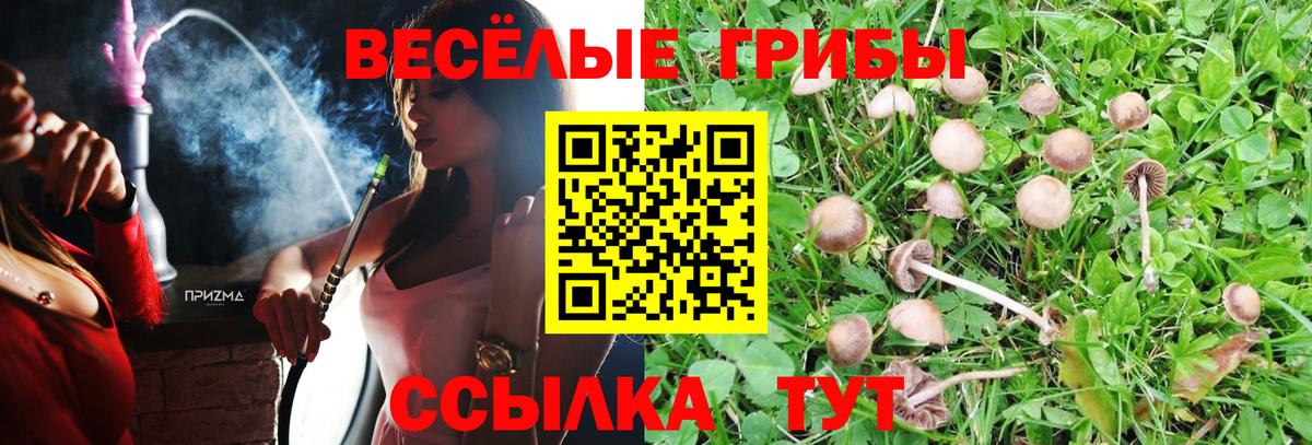 Ульяновск  Галлюциногенные грибы прущие грибы  Вход с VPN  Псилоцибиновые грибы мицелий 
