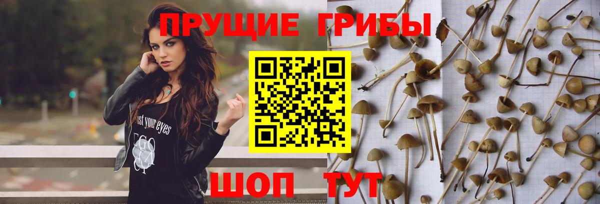 Галлюциногенные грибы Magic Shrooms Ульяновск