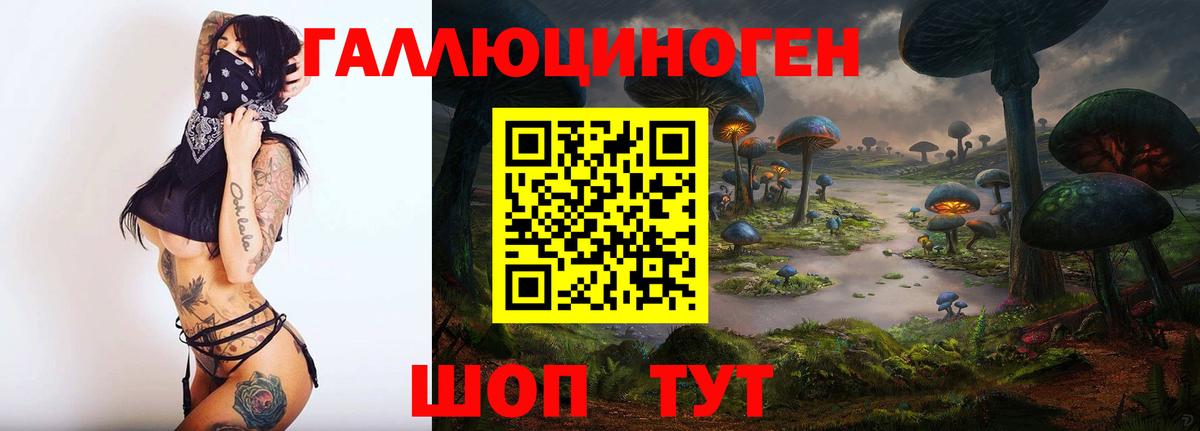 Галлюциногенные грибы Psilocybe  Псилоцибиновые грибы Psilocybine cubensis  Ульяновск 